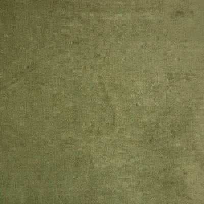 B9880 Celery Fabric: