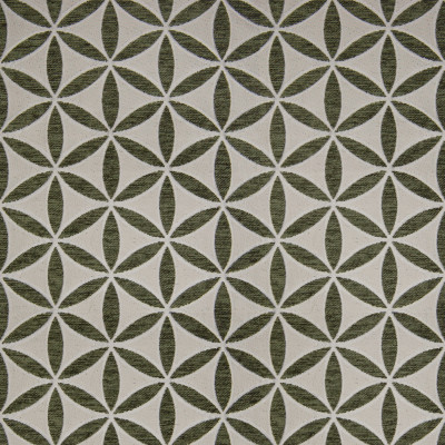 B9889 Alpine Fabric: