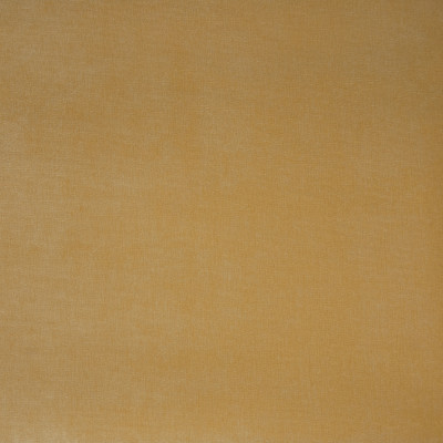 B9894 Butter Fabric: E41, YELLOW VELVET, SUNNY VELVET, SUN YELLOW, BUTTER VELVET, SOLID VELVET, WOVEN VELVET