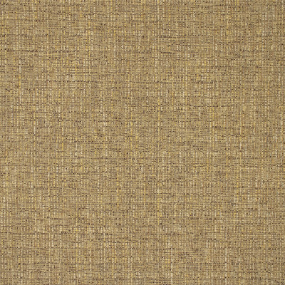 B9896 Coin Fabric: