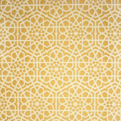 B9897 Gold Fabric: E41, FLORAL MATELASSES, GEOMETRIC MATELASSES, LARGE SCALE FLORAL, LARGE SCALE GEOMETRIC