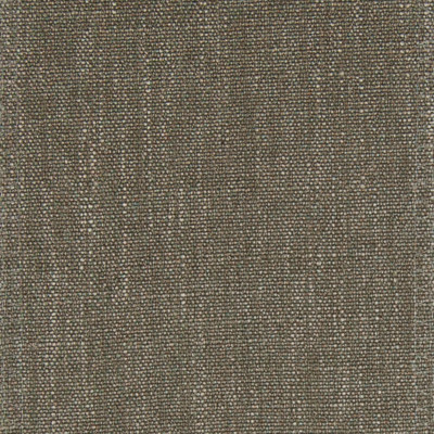 F1021 Lentil Fabric: E42, LIGHT BROWN, SOLID BROWN, WOVEN BROWN, TEXTURE