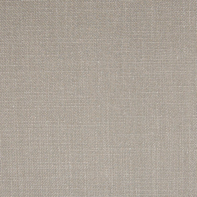 F1031 Dove Fabric: E42, LIGHT GRAY TEXTURE, LIGHT GREY TEXTURE, WOVEN TEXTURE, SILVER TEXTURE, SOLID GRAY TEXTURE, SOLID GREY TEXTURE, GREIGE, GRAY BEIGE