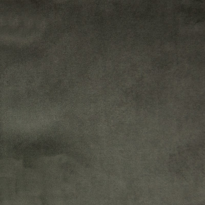 F1158 Graphite Fabric: E50, GRAY VELVET, GREY VELVET, SOLID VELVET, SOLID GRAY VELVET, SOLID GREY VELVET, WOVEN VELVET