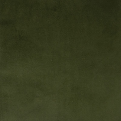 F1164 Basil Fabric: E50, GREEN VELVET, SOFT VELVET, TEXTURED VELVET, WOVEN VELVET