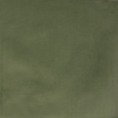 F1165 Lima Bean Fabric: