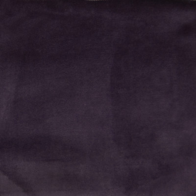 F1170 Deep Purple Fabric: E50, PURPLE VELVET, DEEP PURPLE, VELVET, SOFT VELVET, TEXTURED VELVET