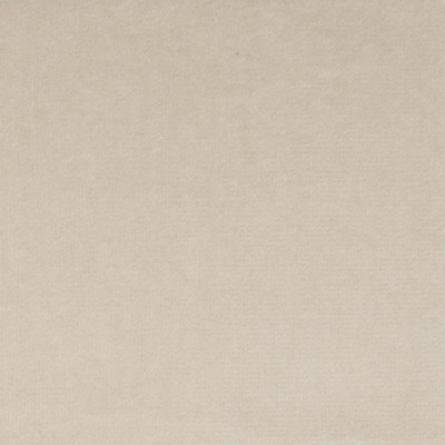 F1181 Sesame Fabric: E44, VELVET, SOLID VELVET, PLUSH VELVET, LUSH VELVET, SILKY VELVET, POLYESTER VELVET