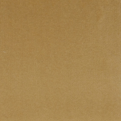 F1187 Gold Dust Fabric: E44, VELVET, SOLID VELVET, PLUSH VELVET, LUSH VELVET, SILKY VELVET, POLYESTER VELVET