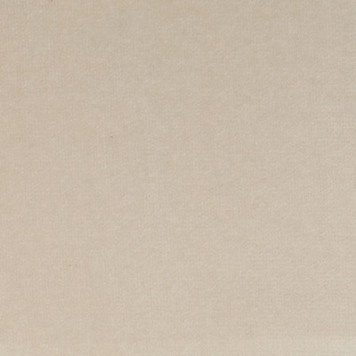F1202 Pearl Fabric: E44, VELVET, SOLID VELVET, PLUSH VELVET, LUSH VELVET, SILKY VELVET, POLYSTER VELVET
