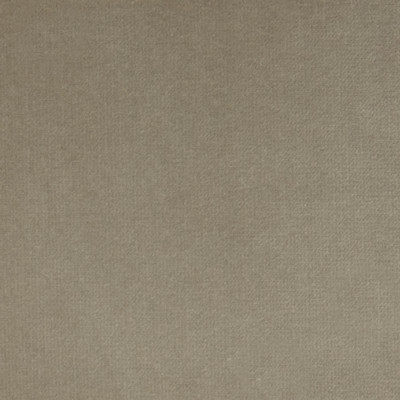 F1205 Vapor Fabric: E44, VELVET, SOLID VELVET, PLUSH VELVET, LUSH VELVET, SILKY VELVET, POLYESTER VELVET