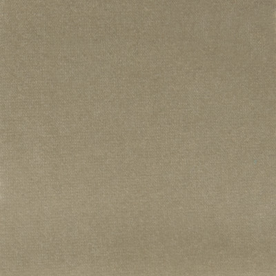 F1206 Shadow Fabric: E44, VELVET, SOLID VELVET, PLUSH VELVET, LUSH VELVET, SILKY VELVET, POLYSTER VELVET