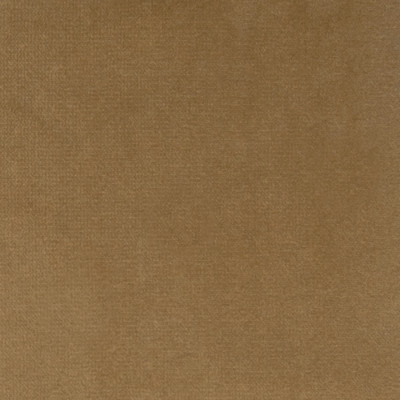 F1207 Camel Fabric: E44, VELVET, SOLID VELVET, PLUSH VELVET, LUSH VELVET, SILKY VELVET, POLYSTER VELVET