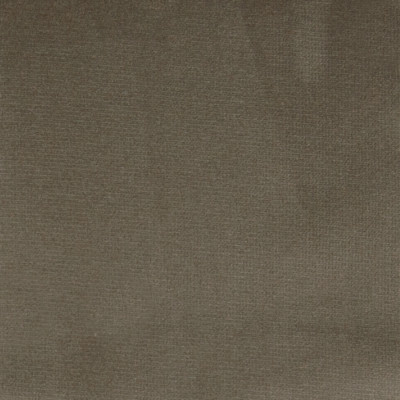 F1211 Mink Fabric: E44, VELVET, SOLID VELVET, PLUSH VELVET, LUSH VELVET, SILKY VELVET, POLYESTER VELVET