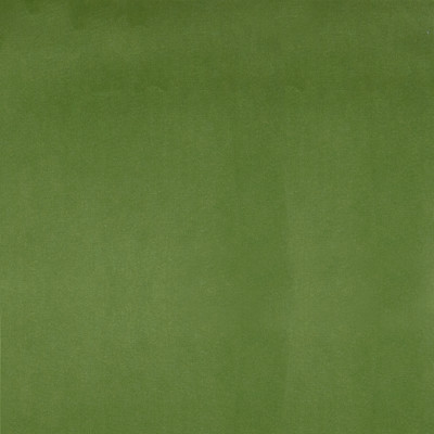 F1221 Parrot Fabric: