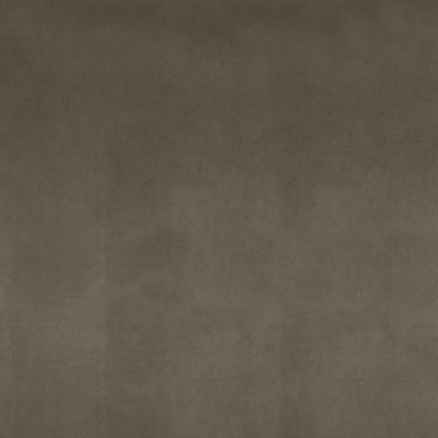 F1225 Putty Fabric: E52, NEUTRAL VELVET, PUTTY, TEXTURE, VELVET, SOLID VELVET