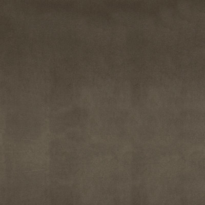 F1227 Asphalt Fabric: E52, NEUTRAL VELVET, PUTTY, TEXTURE, VELVET, SOLID VELVET