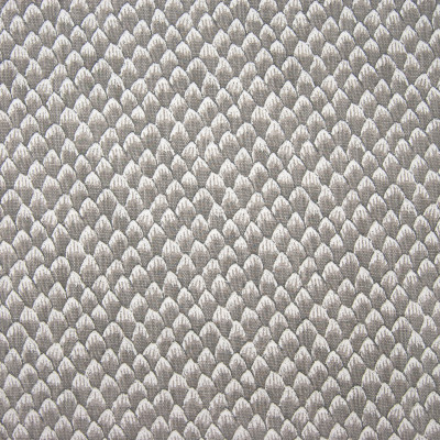 F1272 Grey Fabric: E54, PETALS, FLORAL PETALS, FLOWER PETALS, SMALL SCALE PATTERN, SMALL SCALE FLORAL, GRAY FLORAL, GREY FLORAL, COTTON FLORAL PRINT