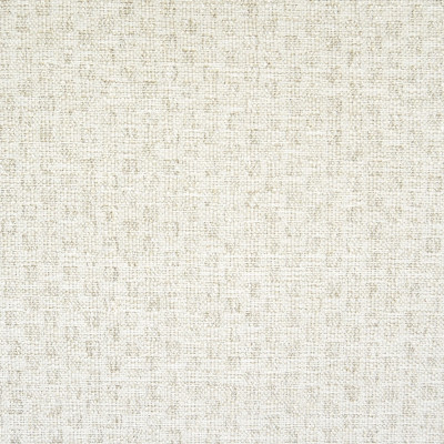 F1369 Salt Fabric: E56, NEUTRAL, SOFT, CREAM, IVORY, WOVEN TEXTURE, TEXTURE, WOVEN, KNIT, WHITE KNIT, SHIMMER, LUSTER, IVORY LUSTER, IVORY SHIMMER, SHINE,