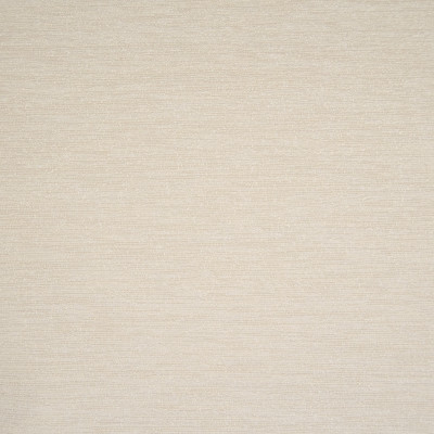F1428 Natural Fabric: E57, SOLID, NEUTRAL, TEXTURE, SOLID NEUTRAL, SOLID TEXTURE, NEUTRAL TEXTURE, GRASSCLOTH
