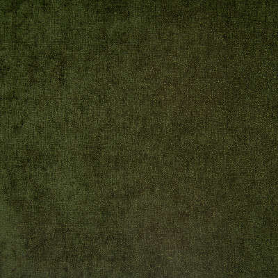 F1487 Moss Fabric: E58, CRYPTON HOME, CRYPTON FINISH, PERFORMANCE FABRIC, PERFORMANCE FABRICS, STAIN RESISTANT, EASY TO CLEAN, SOLID, GREEN, CHUNKY WOVEN, CHUNKY, DARK GREEN
