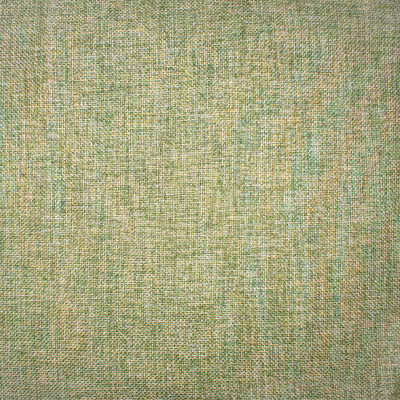 F1546 Grass Fabric: E59, GREEN TEXTURE, LIGHT GREEN TEXTURE, WOVEN TEXTURE, SOLID TEXTURE, TRICOLOR TEXTURE, CHUNKY TEXTURE, TRI-COLOR, PLAIN WOVEN, PLAIN TEXTURE, GRASS