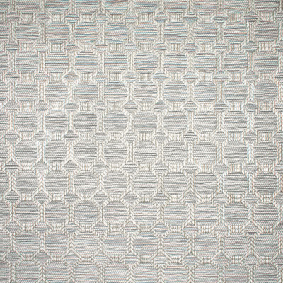 F1554 Silver Fabric: