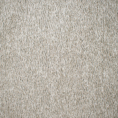 F1566 Fog Fabric: E60, CHENILLE NEUTRAL, NEUTRAL CHENILLE, GRAY AND NEUTRAL CHENILLE, SQUIGGLY LINES, CURVED LINES, GRAY, GREY