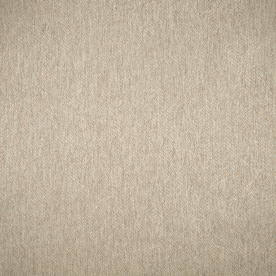 F1641 Birch Fabric: E61, NEUTRAL TEXTURE, PLAIN TEXTURE, SOLID TEXTURE, NEUTRAL SOLID TEXTURE, NEUTRAL TEXTURE PLAIN, PLAIN NEUTRAL TEXTURE