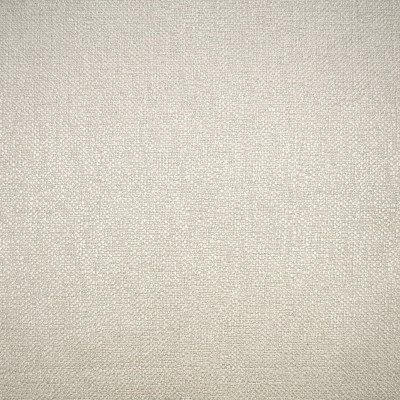 F1643 Linen Fabric: E61, NEUTRAL SOLID, SOLID NEUTRAL, PLAIN SOLID, NEUTRAL PLAIN SOLID, PLAIN NEUTRAL SOLID, CHUNKY SOLID, CHUNKY WOVEN, CHUNKY SOLID WOVEN, CHUNKY PLAIN SOLID
