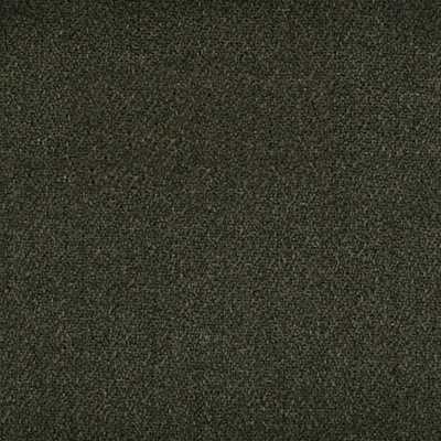 F1778 Moss Fabric: E63, WOVEN, GREEN WOVEN, GREEN TEXTURE, GREEN WOVEN TEXTURE, WOVEN TEXTURE, WOVEN PLAIN, KNIT, GREEN KNIT, CHUNKY TEXTURE, CHUNKY GREEN TEXTURE, CHUNKY WOVEN TEXTURE, SOLID GREEN, SOLID, WOVEN SOLID, GREENHOUSE FABRICS, UPHOLSTERY, GREEN, DARK GREEN, BASIL, PINE, EVERGREEN, MOSS