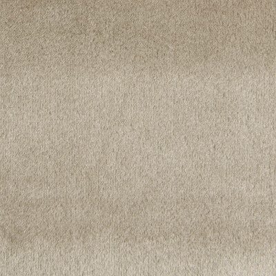 F1787 Wheat Fabric: E90, E64, NEUTRAL VELVET, TAN VELVET, NEUTRAL SOLID, TAN SOLID, SOLID TAN VELVET
