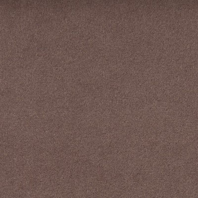 F1793 Dove Fabric: E64, NEUTRAL VELVET, TAUPE VELVET, NEUTRAL SOLID, TAUPE SOLID, SOLID TAUPE VELVET