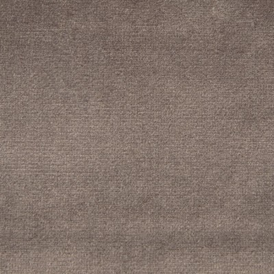 F1795 Otter Fabric: E64, SOLID GRAY, GRAY VELVET, SOLID GRAY VELVET