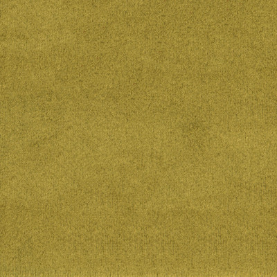 F1836 Grass Fabric: