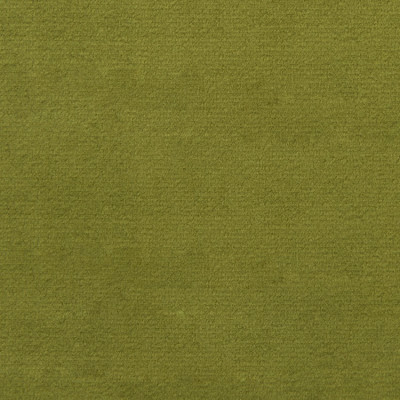 F1837 Fern Fabric: E64, LIGHT GREEN VELVET, LIGHT GREEN SOLID, SOLID GREEN VELVET