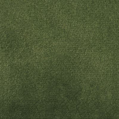 F1838 Parrot Fabric: E64, SOLID GREEN, GREEN VELVET, SOLID GREEN VELVET