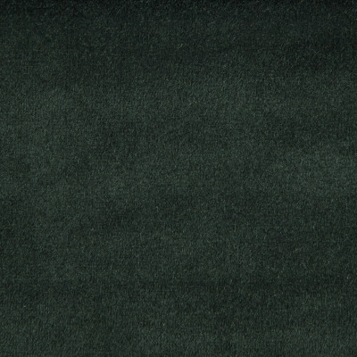 F1842 Pine Fabric: E91, E64, SOLID DARK GREEN, DARK GREEN VELVET, SOLID DARK GREEN VELVET