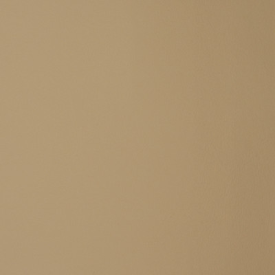 F1857 Parchment Fabric: