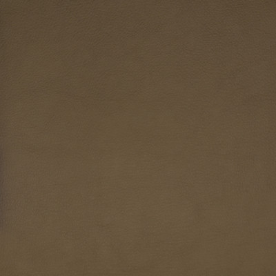 F1859 Beige Fabric: