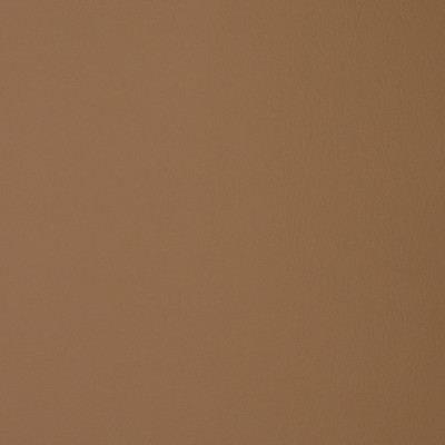 F1860 Bisque Fabric: