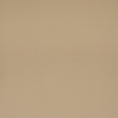 F1861 Taupe Fabric: