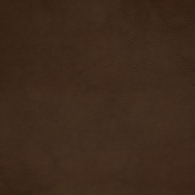 F1867 Amber Fabric: