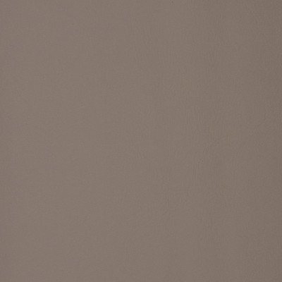 F1876 Seagull Fabric: E65, VINYL,GRAY, GULL, SILVER, ASH, CLOUD, FAUX LEATHER, SOLID