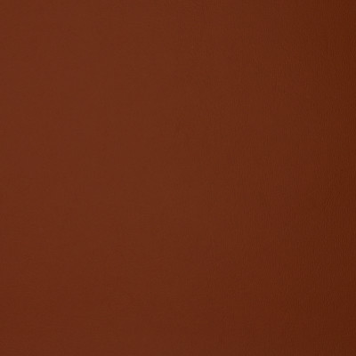 F1895 Rust Fabric: