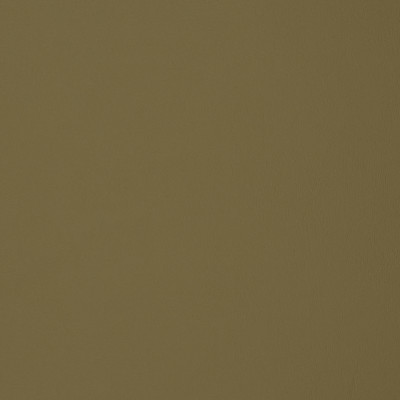 F1896 Sage Fabric: