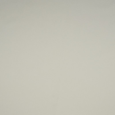 F1904 Ivory Fabric: