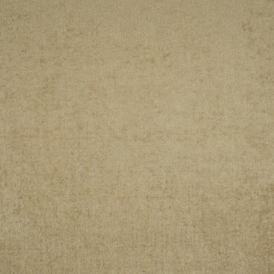 F1907 Taupe Fabric: E66, SIMMER, SHEEN, CHENILLE, GOLD, CHAMPAGNE, NEUTRAL, BROWN, BEIGE, SOLID, TEXTURE