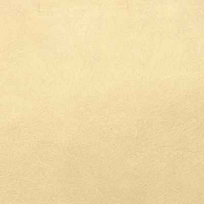 F2040 Dough Fabric: L14, L13, LEATHER, LEATHER HIDE, HIDE, FULL HIDE, NATURAL HIDE, NATURAL LEATHER, COW HIDE, BOVINE, UPHOLSTERY LEATHER, UPHOLSTERY HIDE, PERFORMANCE, PERFORMANCE LEATHER, ITALY, ITALIAN LEATHER
