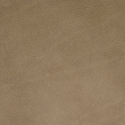 F2042 Taupe Fabric:
